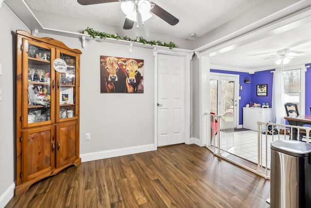 dining area with ceiling fan, dark hardwood / wood-style flooring, and a textured ceiling