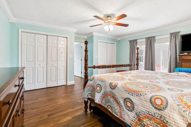 bedroom featuring crown molding, two closets, dark hardwood / wood-style floors, and ceiling fan