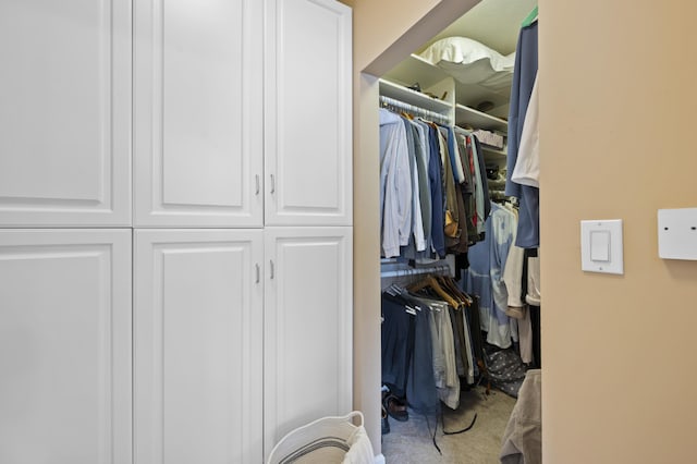 spacious closet with carpet flooring