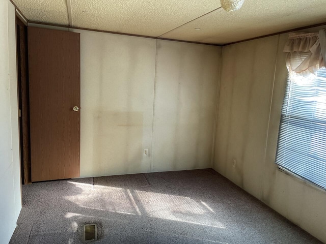 unfurnished room featuring carpet and a textured ceiling