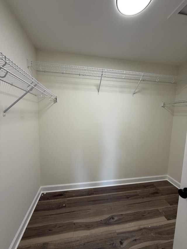 walk in closet featuring dark hardwood / wood-style floors