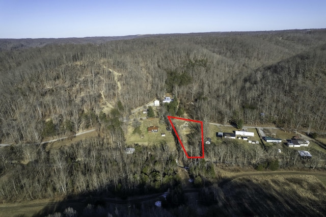 1145 Trusty Rd, Hustonville KY, 40437 land for sale