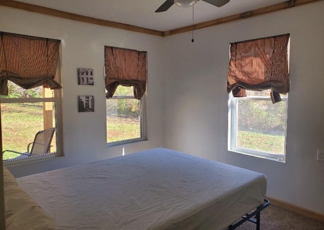 bedroom featuring multiple windows, carpet flooring, and ceiling fan