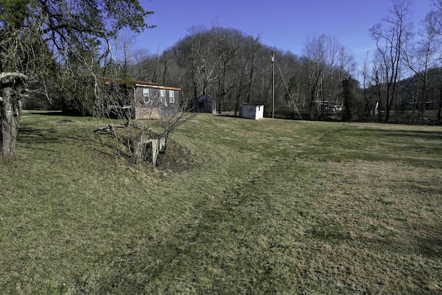 view of yard featuring a storage shed