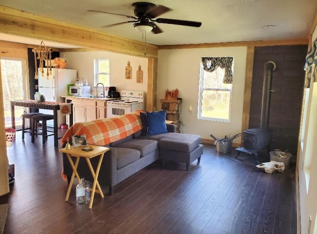 living room featuring sink, plenty of natural light, dark hardwood / wood-style floors, and a wood stove