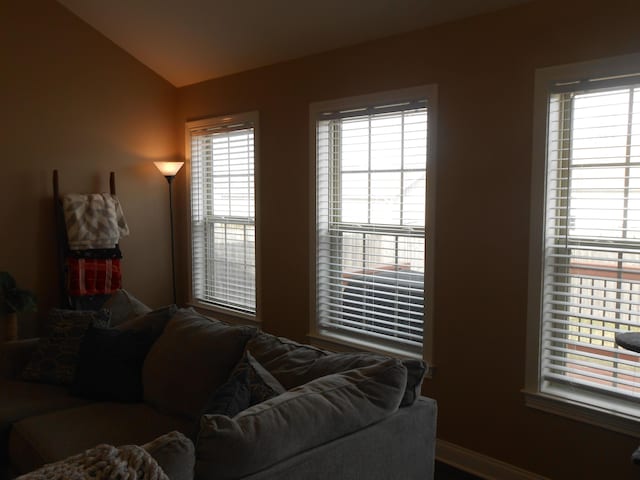 living room featuring vaulted ceiling