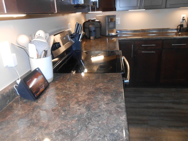 kitchen with stainless steel electric stove and dark brown cabinetry