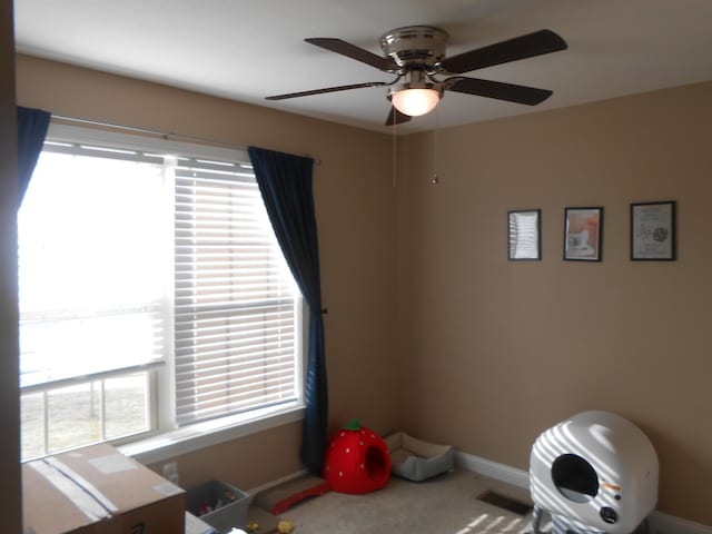 recreation room featuring carpet floors, a wealth of natural light, and ceiling fan