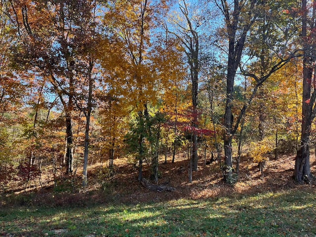 Listing photo 2 for 364 Upper Indian Camp Rd, London KY 40744