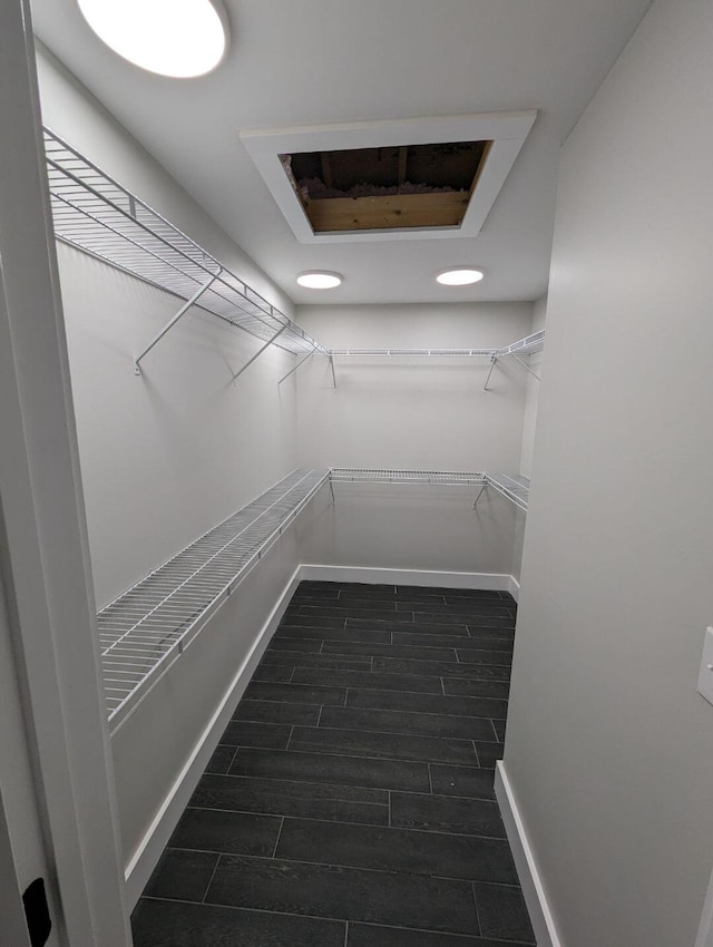 view of walk in closet