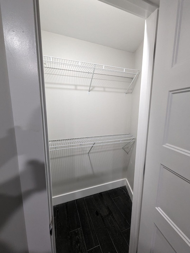 spacious closet featuring hardwood / wood-style flooring