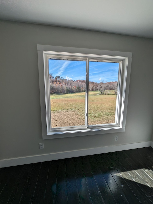 spare room with dark hardwood / wood-style floors and a rural view