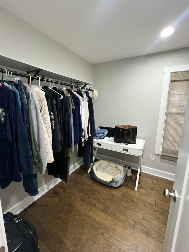 walk in closet featuring hardwood / wood-style floors