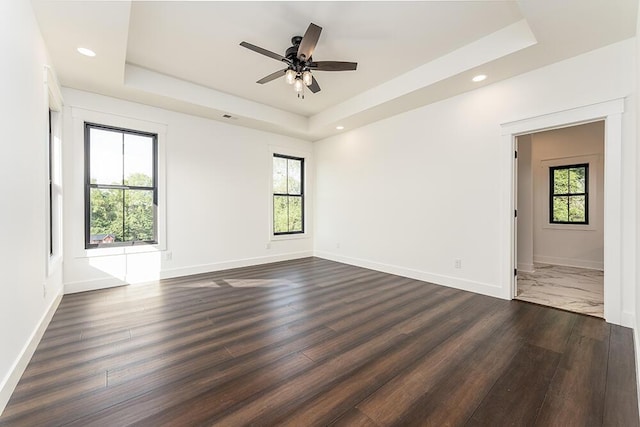 spare room with dark wood-type flooring, a wealth of natural light, and a raised ceiling