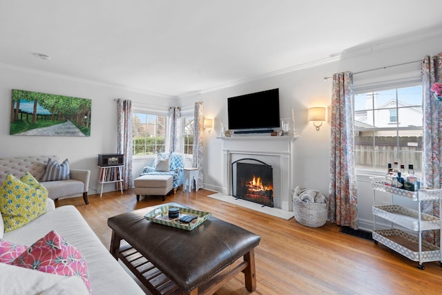 living room featuring hardwood / wood-style flooring and ornamental molding