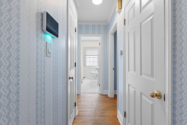 hallway with crown molding and light hardwood / wood-style flooring