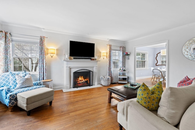 living room with crown molding and wood-type flooring