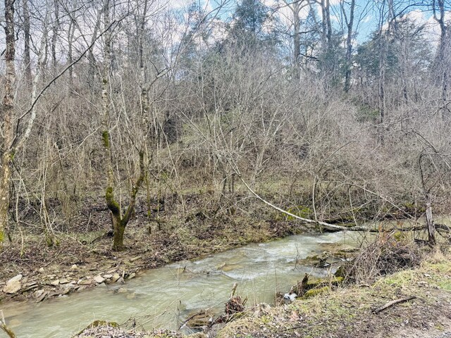 view of yard with a water view