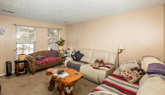 carpeted living room with a textured ceiling