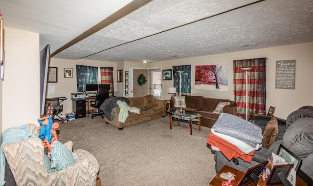 carpeted living room with a textured ceiling