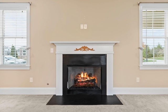 room details with carpet flooring