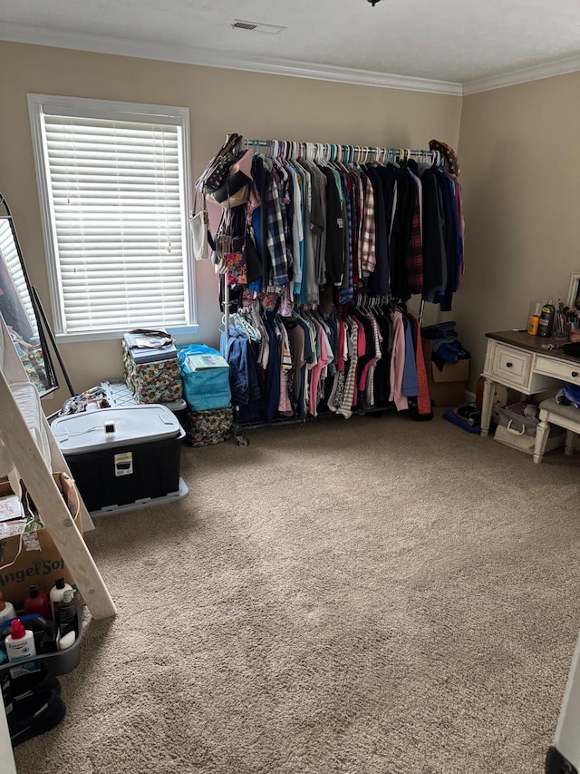 spacious closet featuring carpet flooring