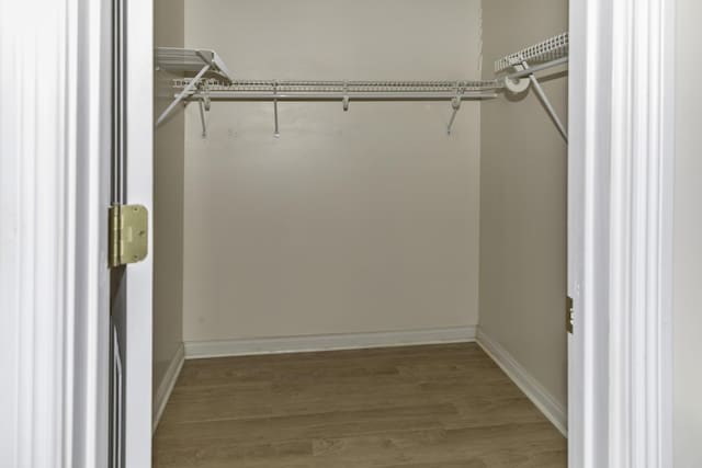 spacious closet with hardwood / wood-style flooring