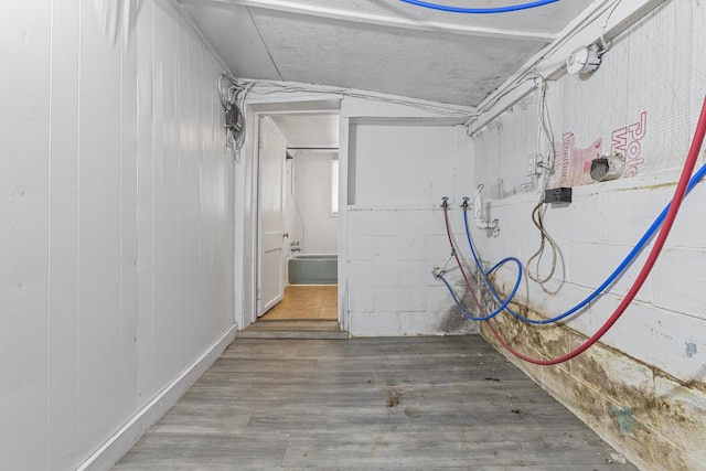 basement featuring hardwood / wood-style flooring