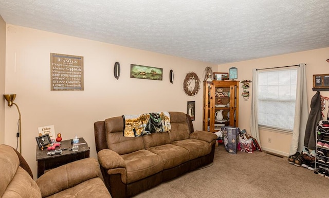 living room featuring a textured ceiling and carpet