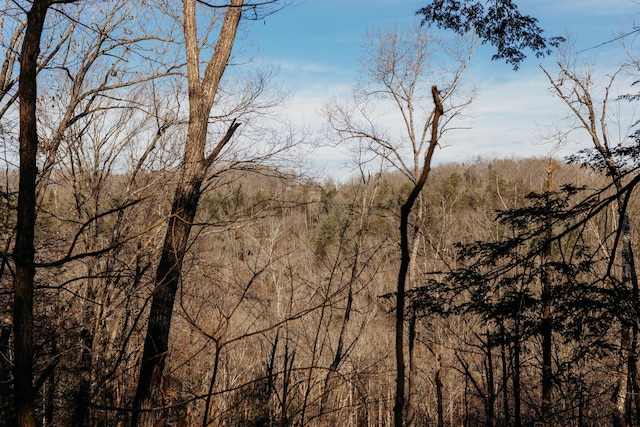 view of local wilderness