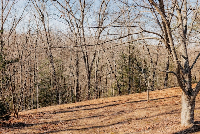 view of landscape