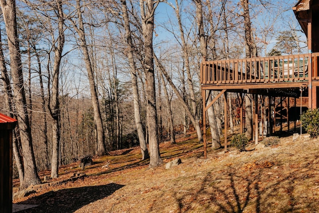 view of yard with a wooden deck