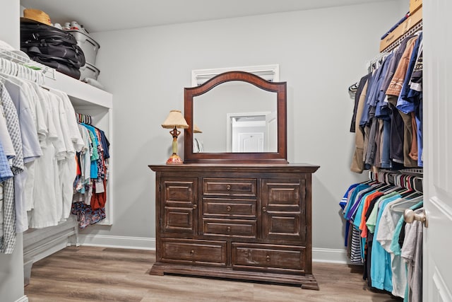 walk in closet with light wood finished floors