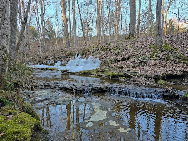 view of water feature