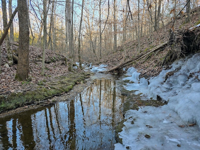 view of water feature