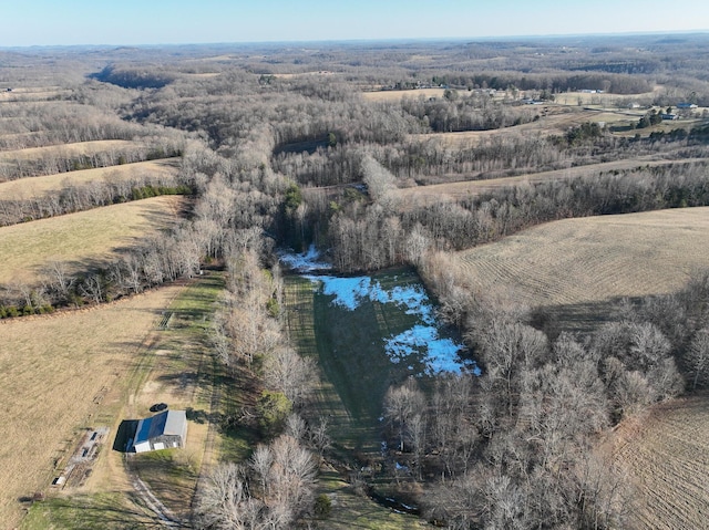 birds eye view of property with a rural view and a water view