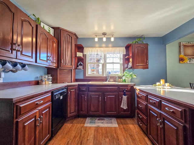 kitchen featuring sink, dishwasher, and light wood-type flooring