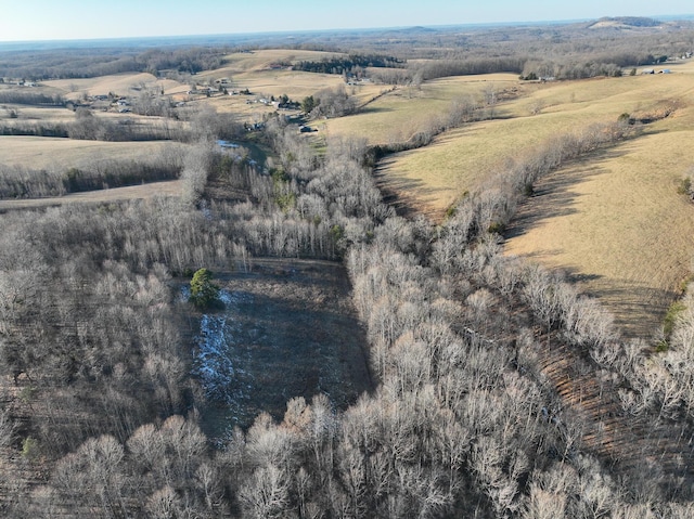 birds eye view of property with a rural view