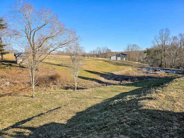 view of yard with a rural view