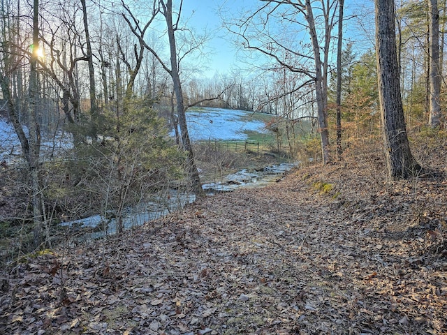 view of yard featuring a water view