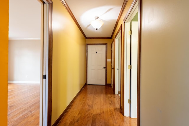 hall featuring crown molding and light hardwood / wood-style floors