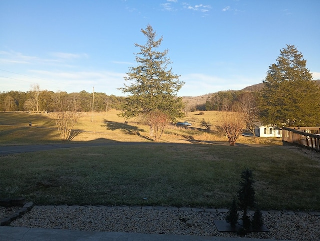 view of yard with a rural view