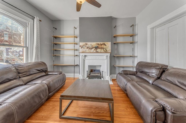 living room with ceiling fan and light wood-type flooring