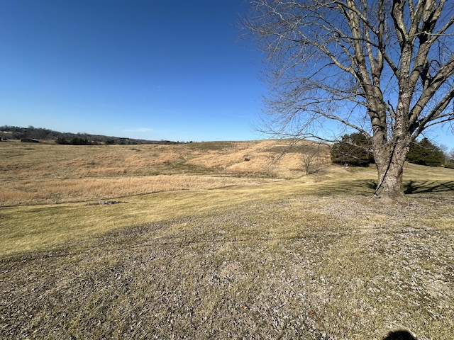 view of local wilderness with a rural view