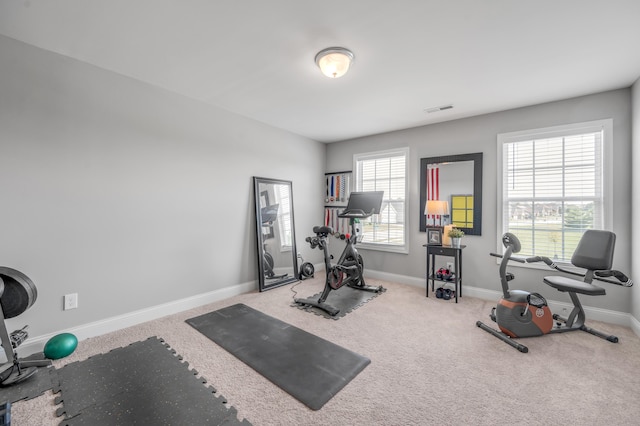 workout area featuring carpet