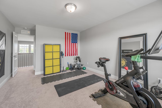 exercise area featuring carpet floors