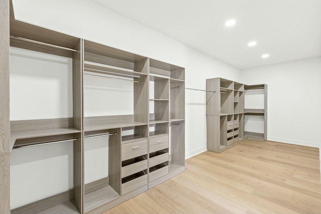 spacious closet featuring light wood-type flooring