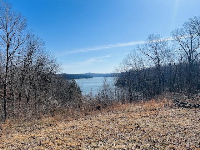 LOT26 Hickory Point Dr, Monticello KY, 42633 land for sale