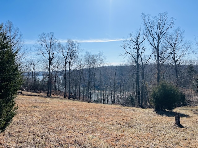 Listing photo 2 for LOT26 Hickory Point Dr, Monticello KY 42633