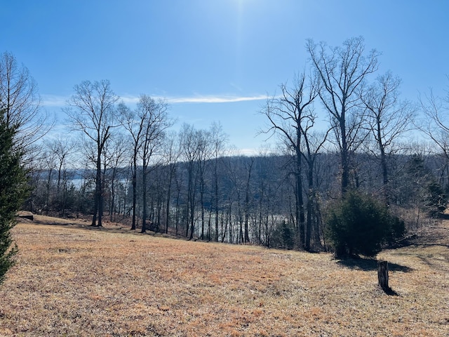 Listing photo 3 for LOT26 Hickory Point Dr, Monticello KY 42633